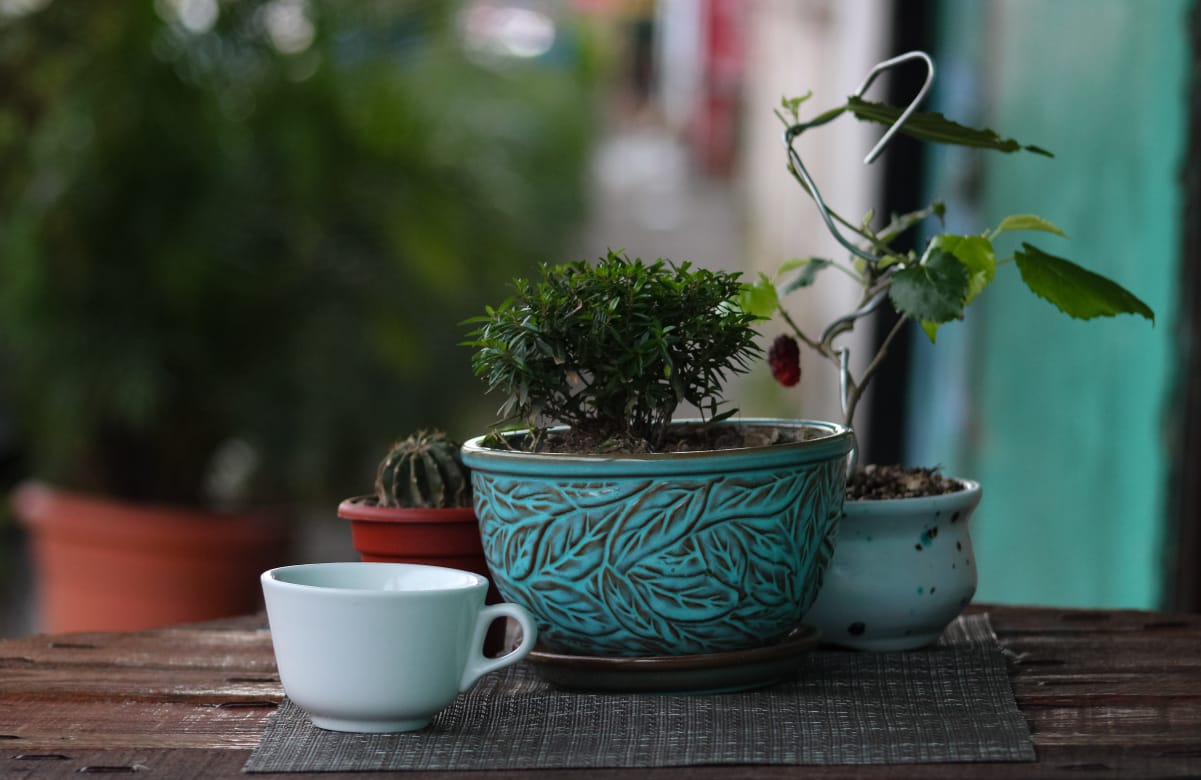 WhatsApp Image 2019-05-09 at 1.49.42 PM