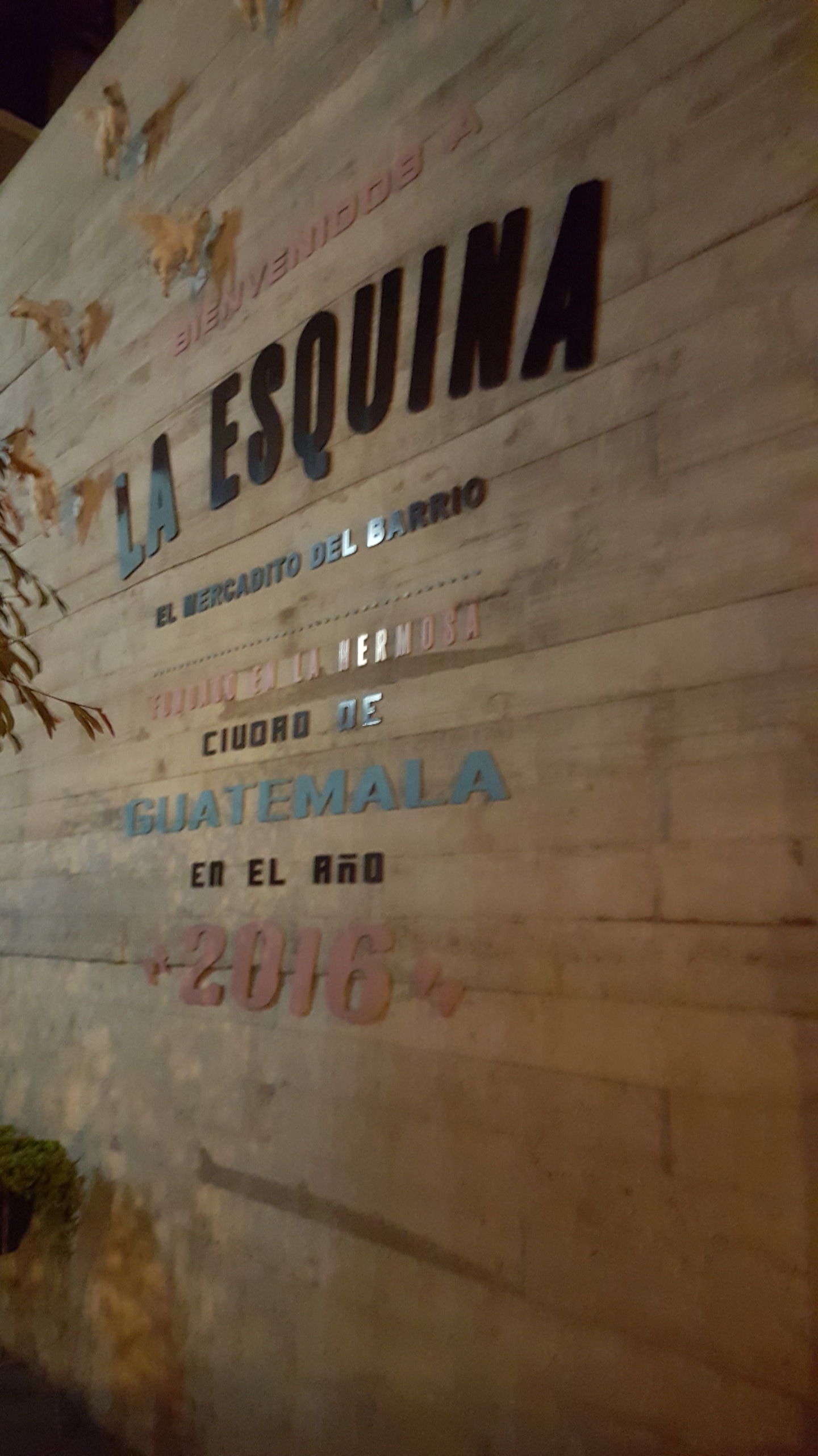 IMG_20181220_190931_657