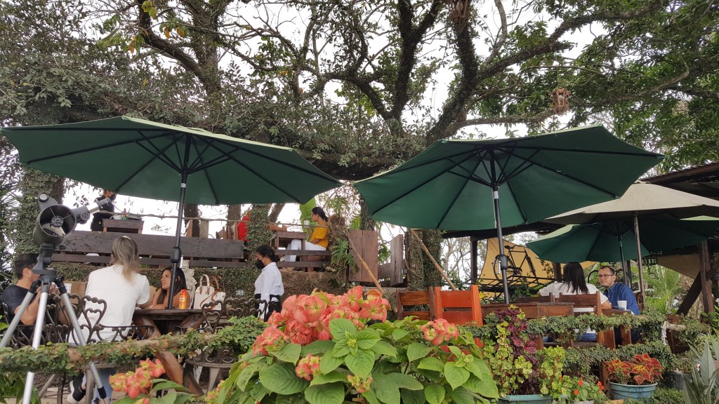 CONOCIENDO LA PETITE&nbsp;CHEF