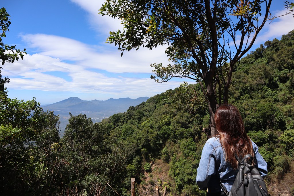 RUTA DE CAFÉ EN LA FINCA CAMPO&nbsp;BELLO